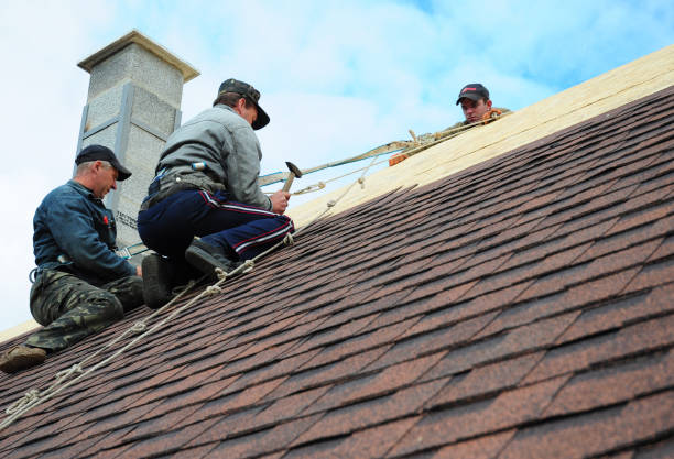 Best Storm Damage Roof Repair  in Fivepointville, PA